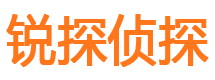 高陵寻人公司